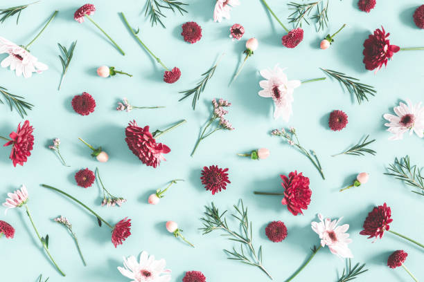 istock Flowers composition. Eucalyptus leaves and pink flowers on pastel blue background. Flat lay, top view 1129299566
