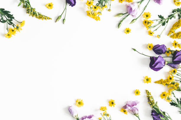 istock Flowers composition. Yellow and purple flowers on white background. Spring, easter concept. Flat lay, top view, copy space 1129299668