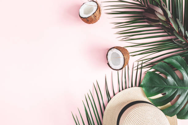 istock Summer composition. Tropical palm leaves, hat, coconut on pastel pink background. Summer concept. Flat lay, top view, copy space 1129299678