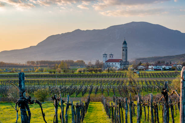 Beautiful spring evening countryside landscape in Vipava valley, Slovenia. stock photo