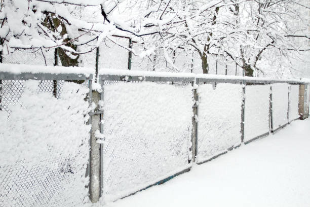 istock Snow-covered Rabitz grid. Lattice fence covered with fresh snow. Winter background texture. White background texture 1129301865