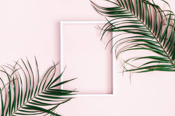 istock Summer composition. Tropical palm leaves, white photo frame on pastel pink background. Summer concept. Flat lay, top view, copy space 1129301968