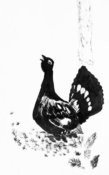 Capercaillie near the tree. Black and white ink drawing. The picture is made by imagination. capercaillie grouse stock illustrations