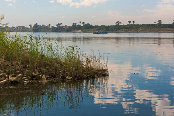 istock View of river nile in Egypt with grass reeds 1129305435