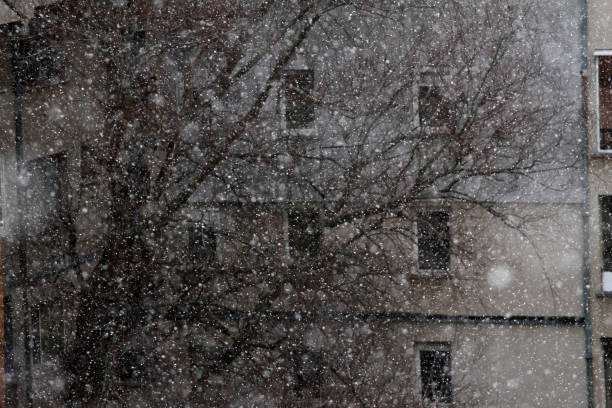 istock Winter snow fall with snowflakes in the city 1129309977
