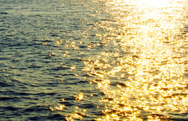 istock Sun reflection, stars on the sea surface 1129311142