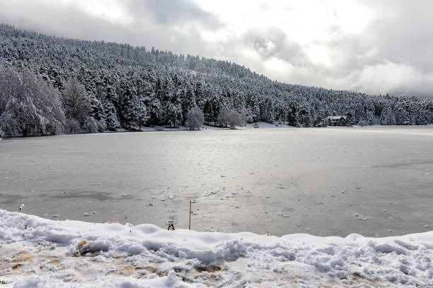 istock Icy Lake with tree and snow 1129311351