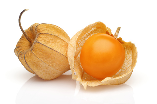 Physalis fruit or golden berry isolated