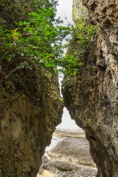 Photo of Kissing Rock at Eluanbi Park, Kenting National Park