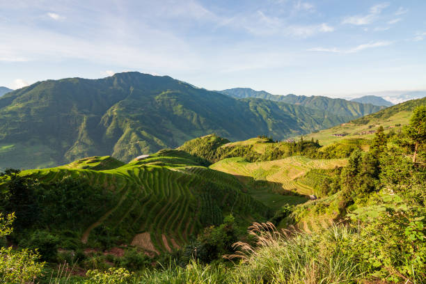 istock Longsheng rice terraces landscape in China 1129313508