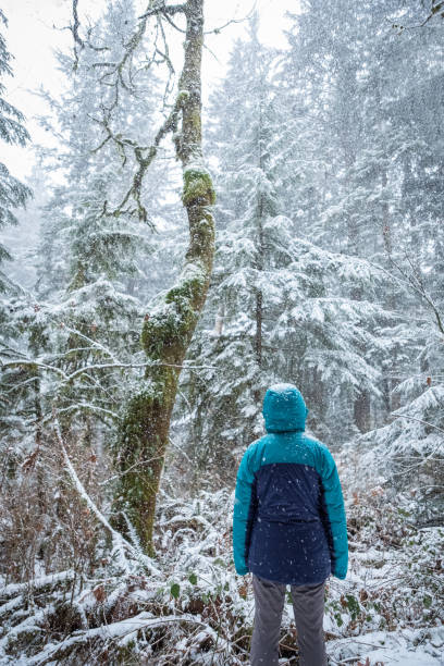 istock Woman Hiker Gazing at Snow Falling on Trees in Forest 1129316906