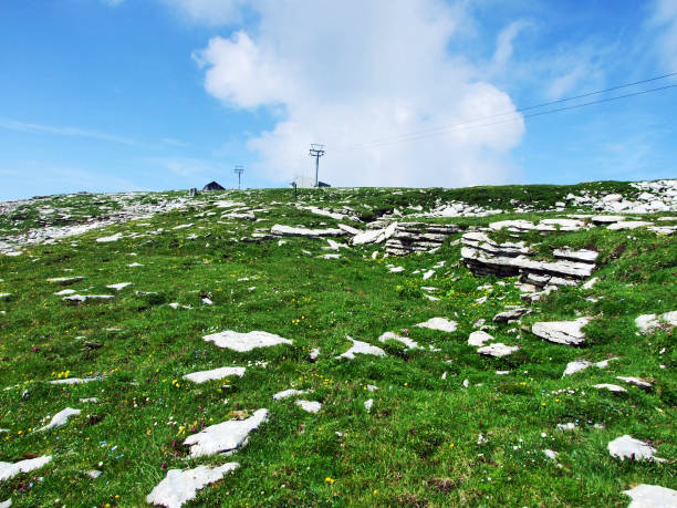 канатная дорога эспель-штефели-хесерругг, под водой - ski lift overhead cable car gondola mountain стоковые фото и изображения