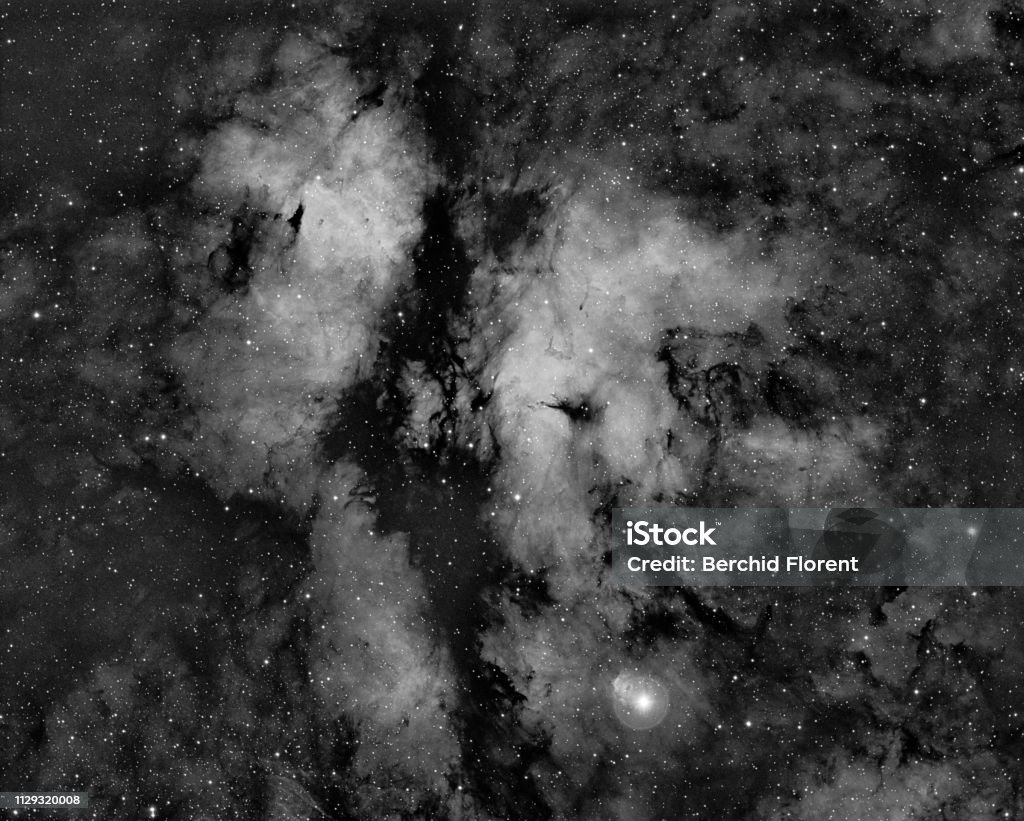 IC 1318 or the Sadr Nebula Nebula in the constellation Cygnus Astronomy Stock Photo