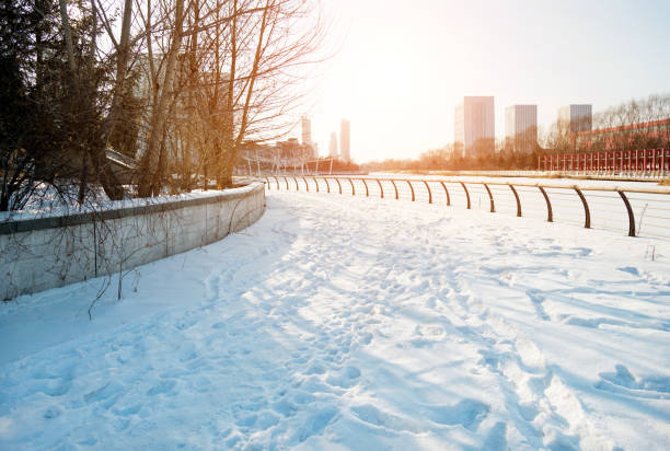 istock City sidewalk in snowy day 1129320723