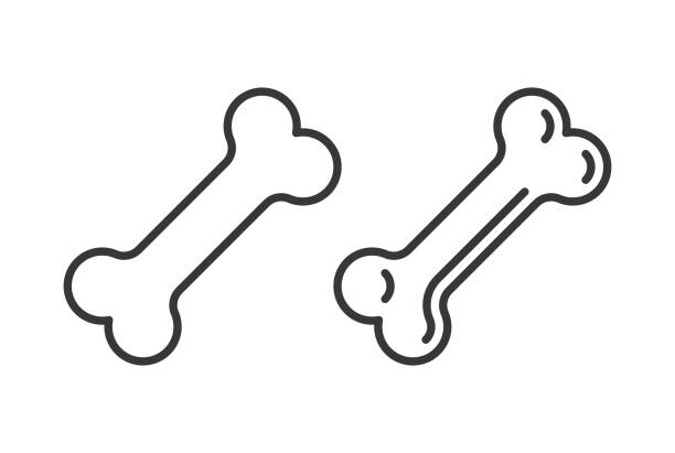 ikony linii kostnej - kość stock illustrations