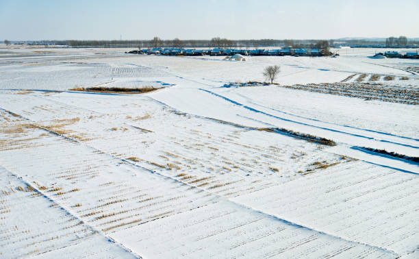 istock Farmland is covering with snow 1129331231