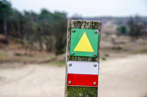 istock Hiking directions in the dunes 1129334215