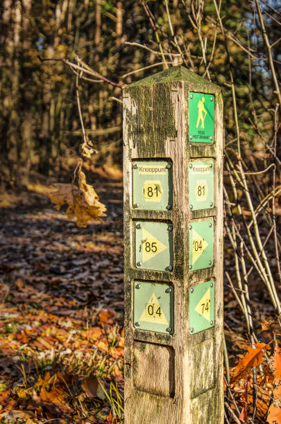 istock Wooden pole with hiking routes 1129334218