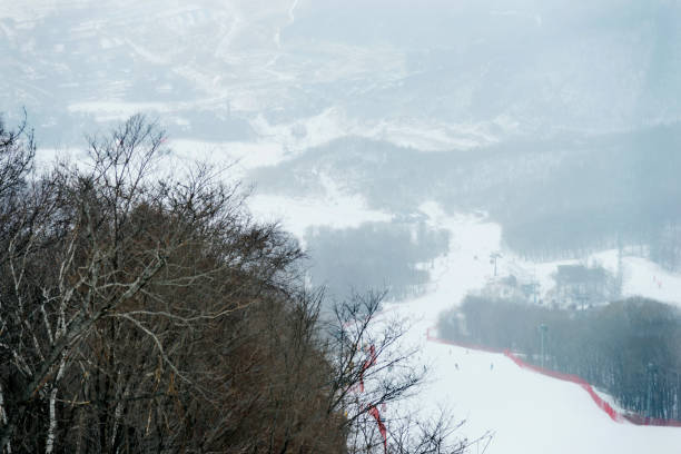 istock Aerial view of the skiing field 1129335677