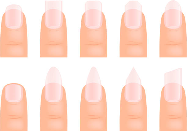 Ilustración de Manicura De Uñas Diferentes Tipos De Plantilla De Dibujos Animados De Vector De Arte De Uña y más Vectores Libres de Derechos de Uña de la mano - iStock Ilustración de Manicura De Uñas Diferentes Tipos De Plantilla De Dibujos Animados De Vector De Arte De Uña y más Vectores Libres de Derechos de Uña de la mano - iStock