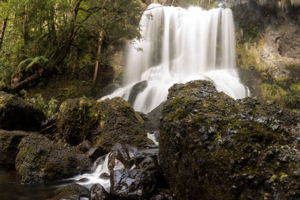 istock Champagne Falls, Tasmania Australia 1129336958