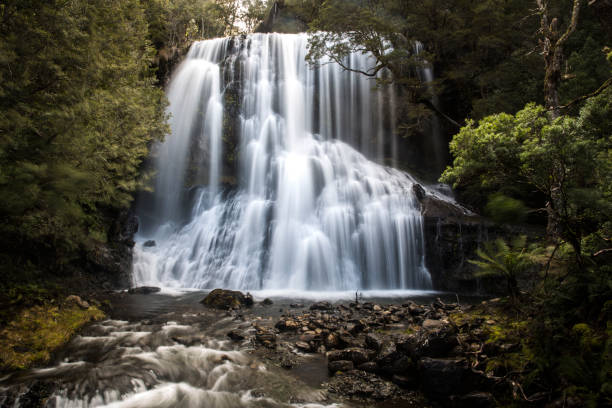 The Liffey Falls, a series of four distinct tiered cascade waterfalls on the Liffey River, is located in the Midlands region of Tasmania, Australia.