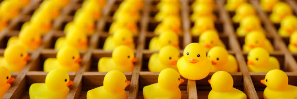 many yellow rubber ducks in wood pigeon hole boxes looking at one duck that is free outside the boxes. concept image of outside the box, freedom etc. - compartimento de armazenamento imagens e fotografias de stock