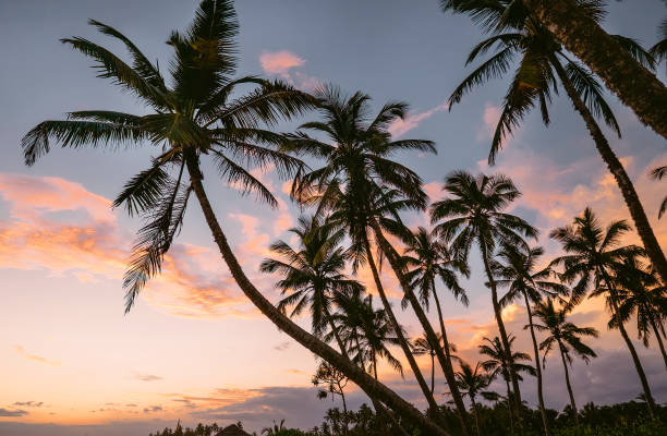 istock Vanilla sky sunset over tropical beach. Sri Lanka. 1129344193