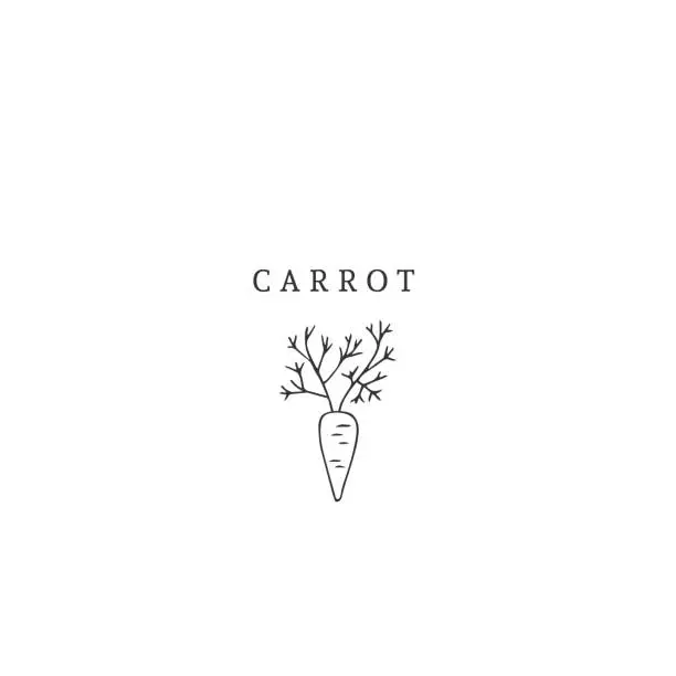 Vector illustration of Vector hand drawn label template, carrot. Farm and organic food theme.