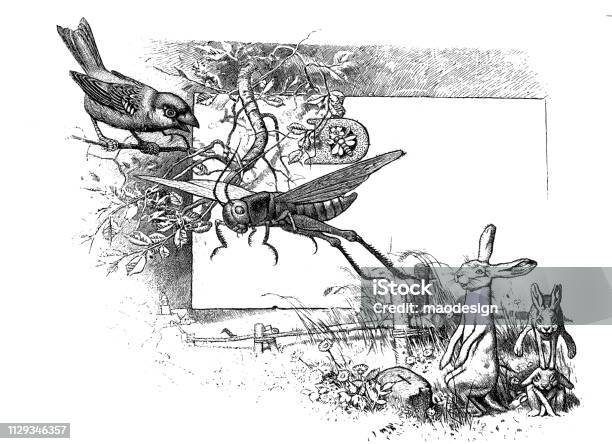 Easter Scenery With Bird Hare And Grasshopper 1896 Stock Illustration - Download Image Now