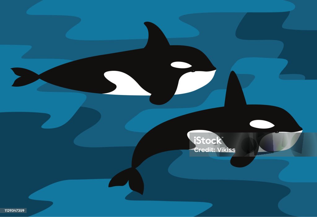 Orcinus orca Group of the Orcinus orca Camouflage stock vector