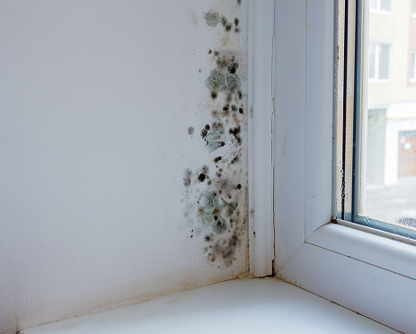 Molde negro y hongos en la pared junto a la ventana. El problema de ventilación, humedad, frío en el apartamento. photo