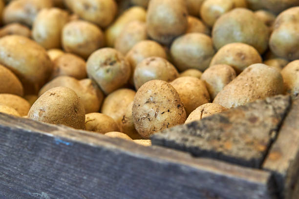 patate - piazza delle vettovaglie foto e immagini stock