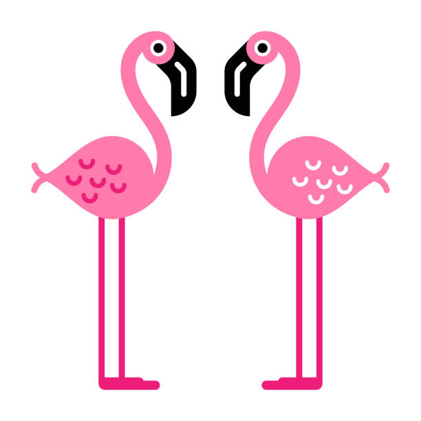 two_flamingos - flamingo bird isolated animal leg点のイラスト素材／クリップアート素材／マンガ素材／アイコン素材
