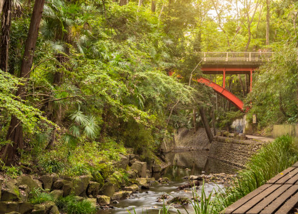 puente metal rojo de todoroki parque en el distrito de setagaya, en tokio. - distrito de setagaya fotografías e imágenes de stock