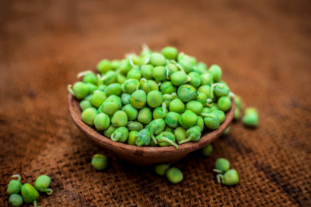 close up of raw organic sprouted peas or beans or seed pod or pisum sativum in a clay bowl on brown colored surface. - green pea pea pod salad legume imagens e fotografias de stock
