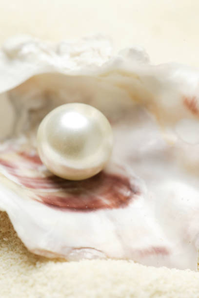 istock Close up image of organic pearl in a shell 1129357317