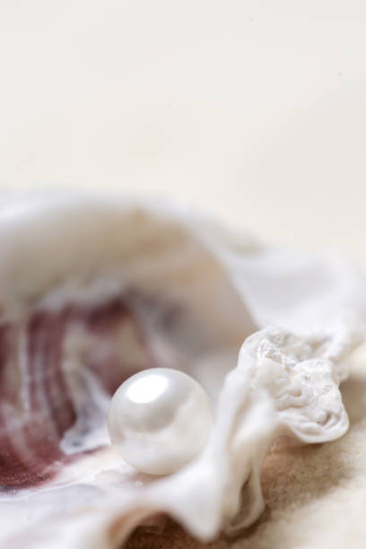 istock Close up image of organic pearl in a shell 1129358289