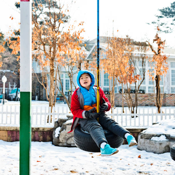 Boy playing on tire swing in winter day.