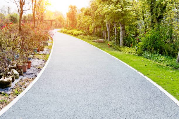 istock Asphalt footpath in a public park 1129368791