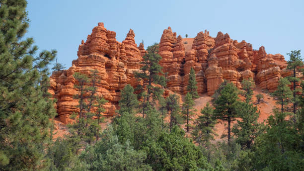 istock Red Canyon National Park Utah 1129373283
