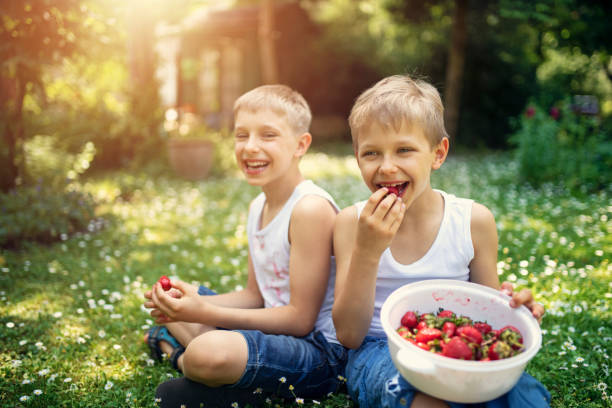 istock Little boy having fun eating strawberries in garden 1129373399