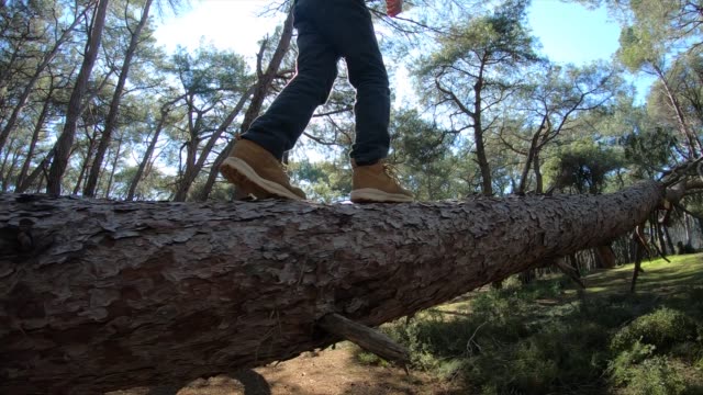 Boy balancing on fallen tree to cross stream in forest