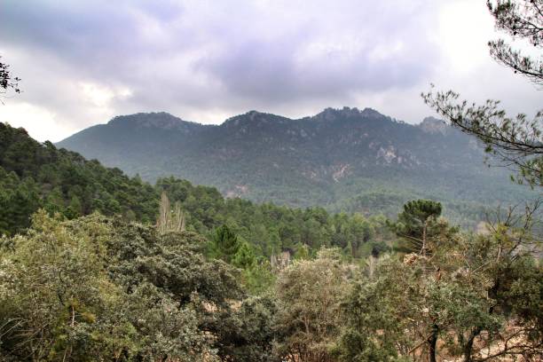 istock Mountain landscape with green vegetation in winter 1129376248