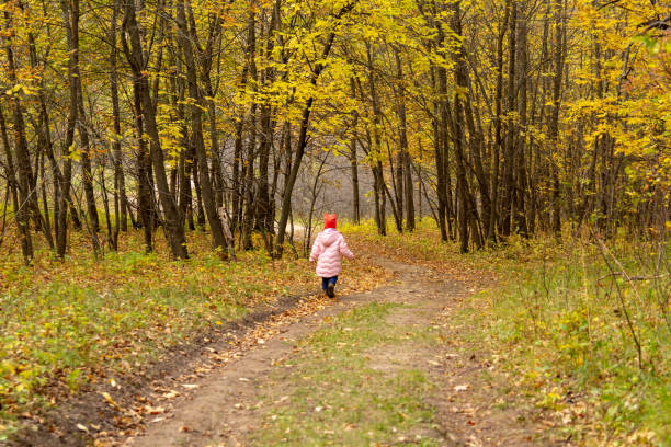 istock Little baby walking in the autumn forest 1129377045