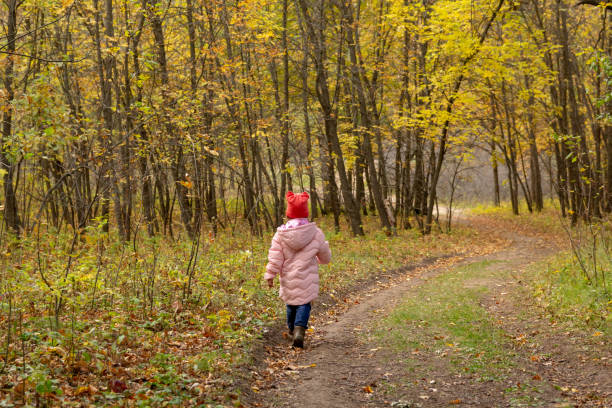 istock Little baby walking in the autumn forest 1129377057