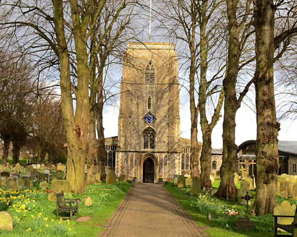 paroisse église de saint andrew l’apôtre, holt au printemps avec les jonquilles fleurissent dans le cimetière de l’église - north norfolk photos et images de collection