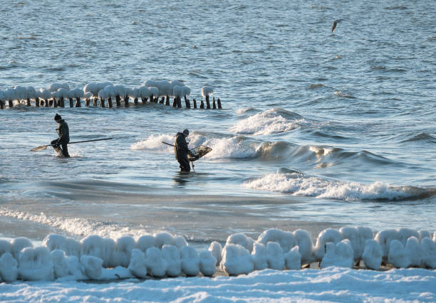 fishing for amber, people catch amber waves, the Baltic sea, Kaliningrad region, Russia, March 18, 2018