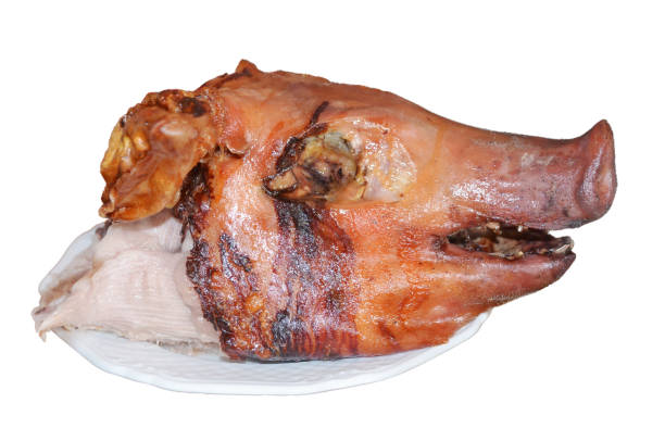Grilled pigling head isolated on white background