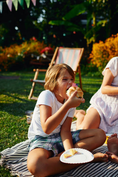 istock 4th of July Picnic 1129380674